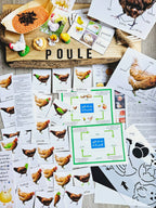 Les cycles de vie
