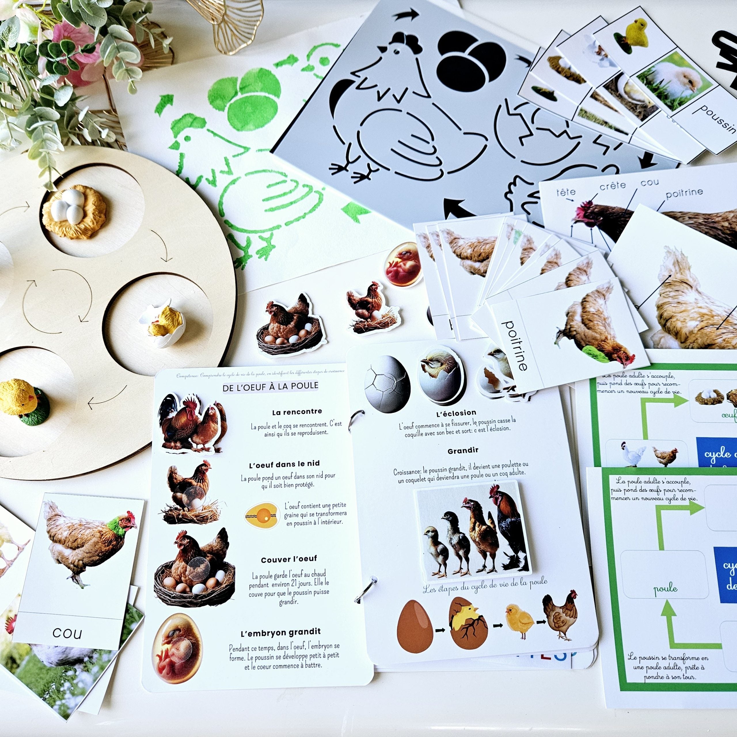 📥 Livret + Pack Poule PDF