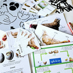 📥 Livret + Pack Poule PDF