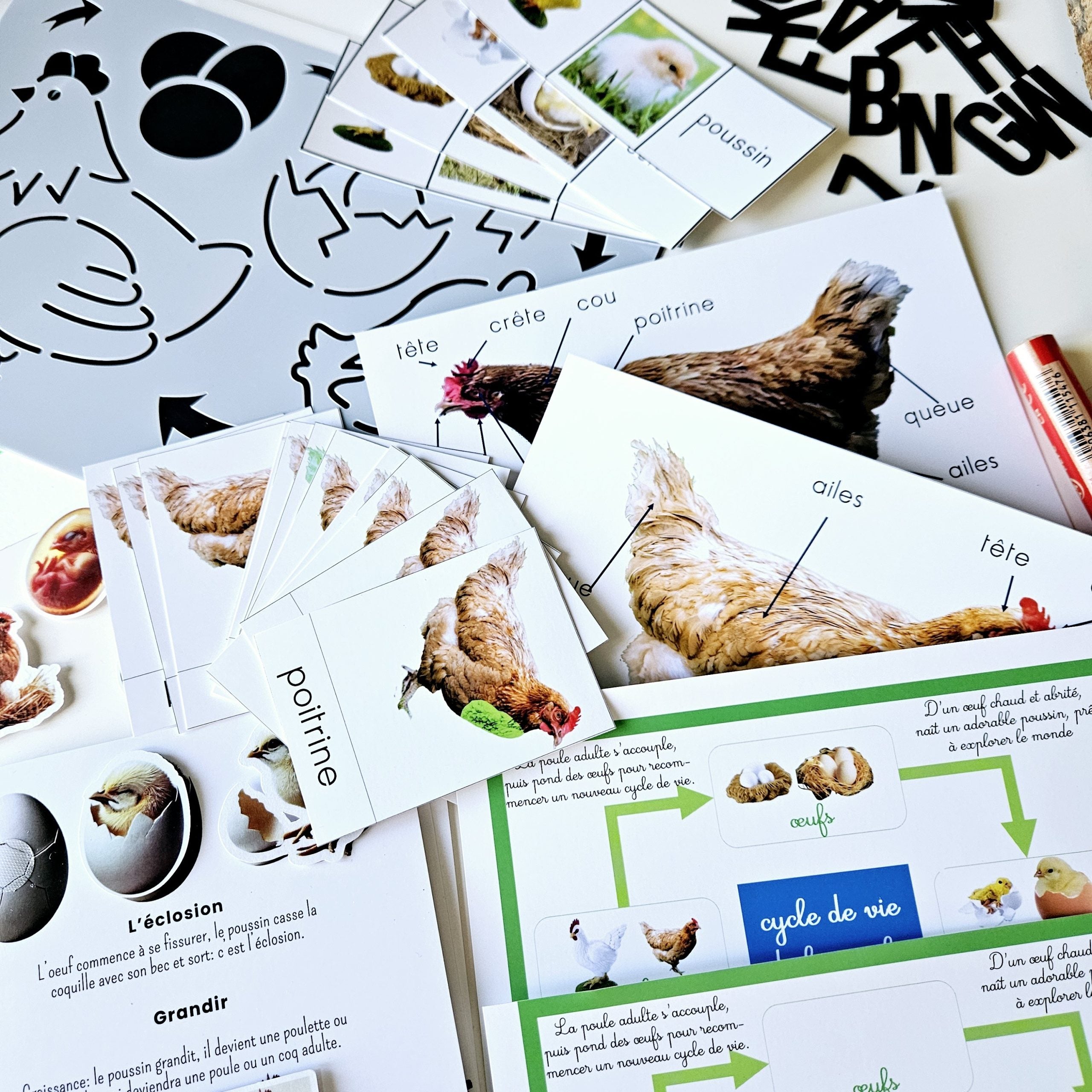 📥 Livret + Pack Poule PDF
