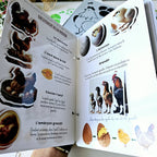 📥 Livret + Pack Poule PDF