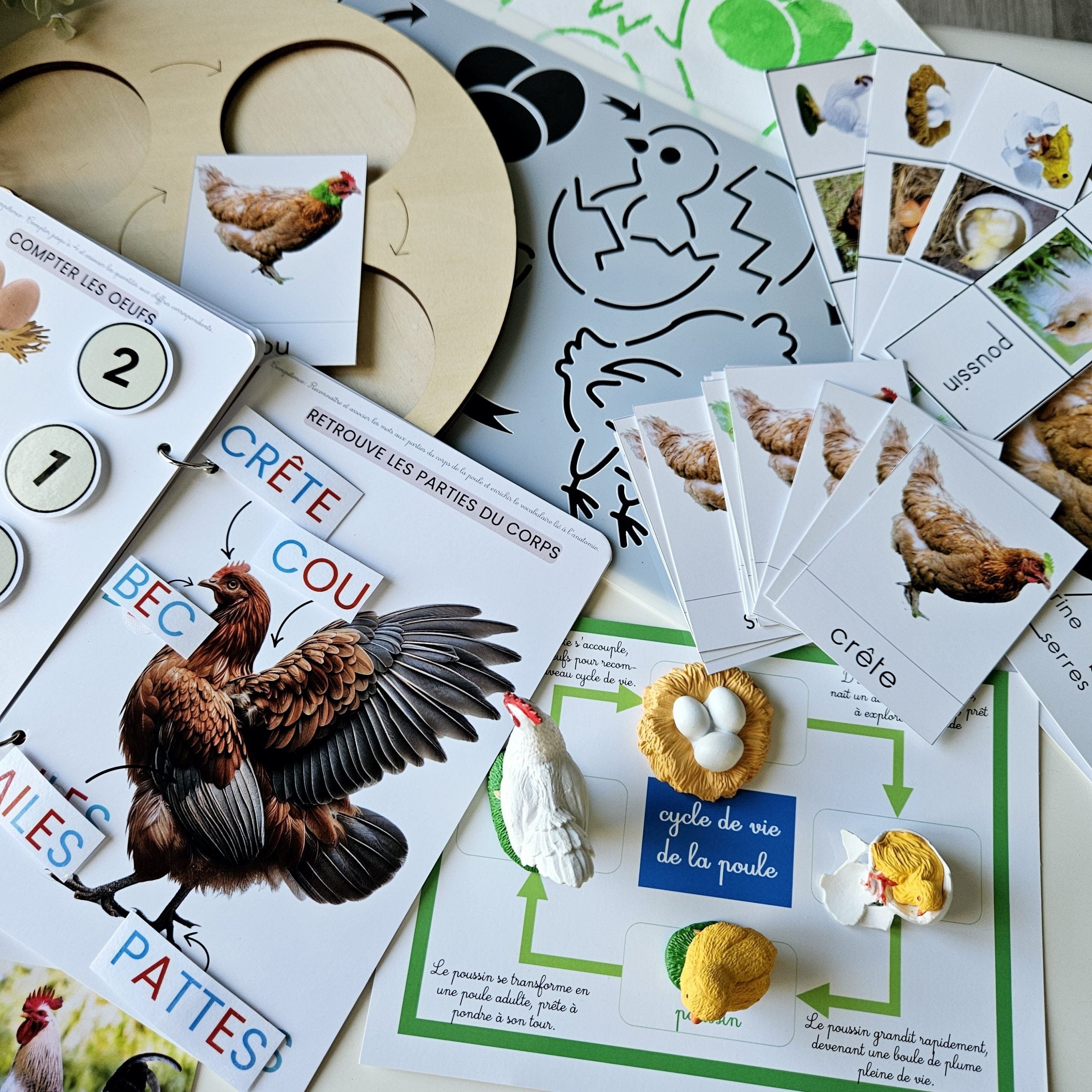 📥 Livret + Pack Poule PDF