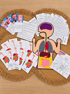 Kit la digestion : cartes des organes, planche A5 et pièces en feutrine