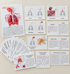 Affiche et cartes sur l'appareil respiratoire