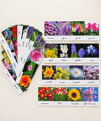 40 cartes de variétés de fleurs en photo avec leur nom