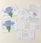 La fleur et ses parties : cartes, posters à légender et fiche