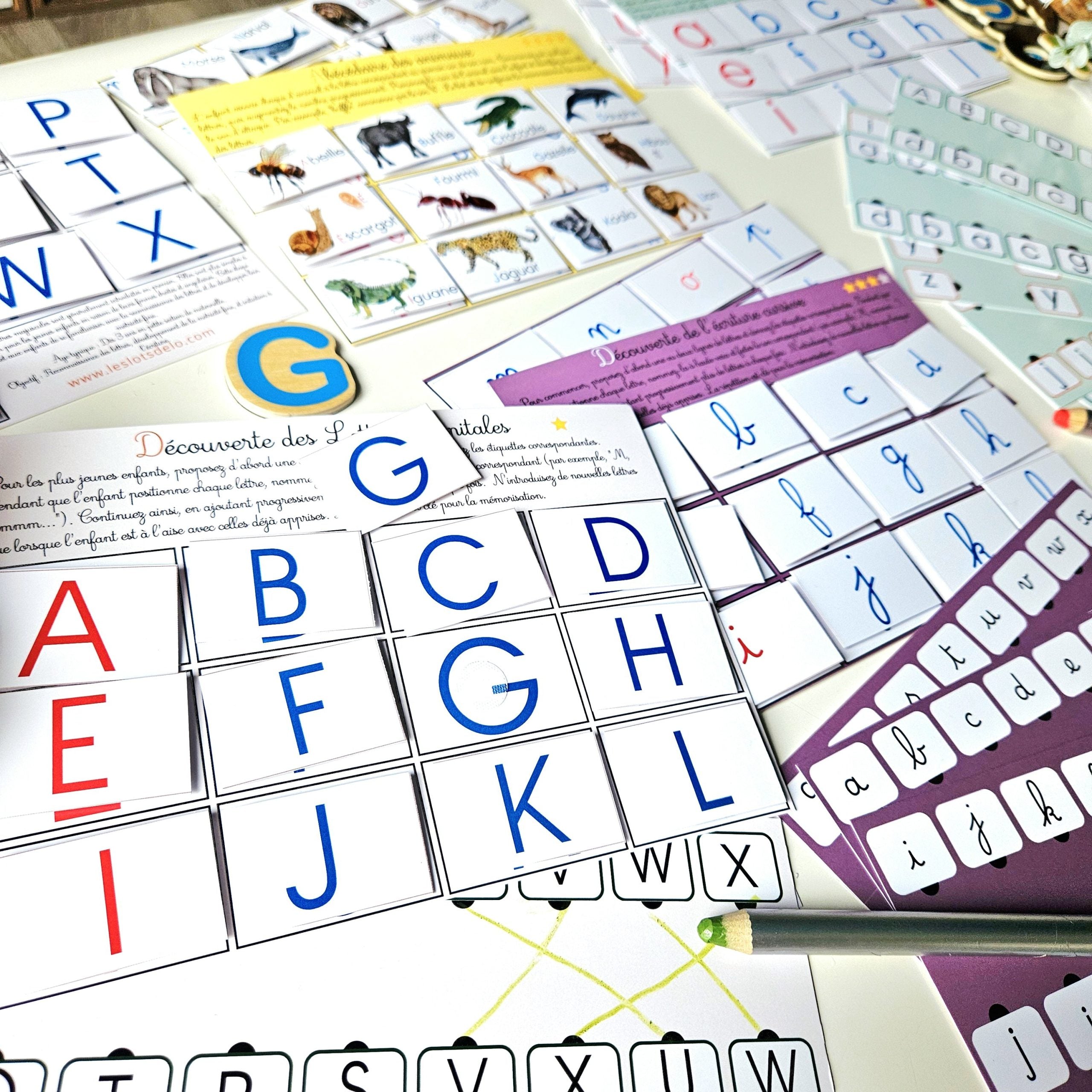 📥Lotos de l'alphabet PDF