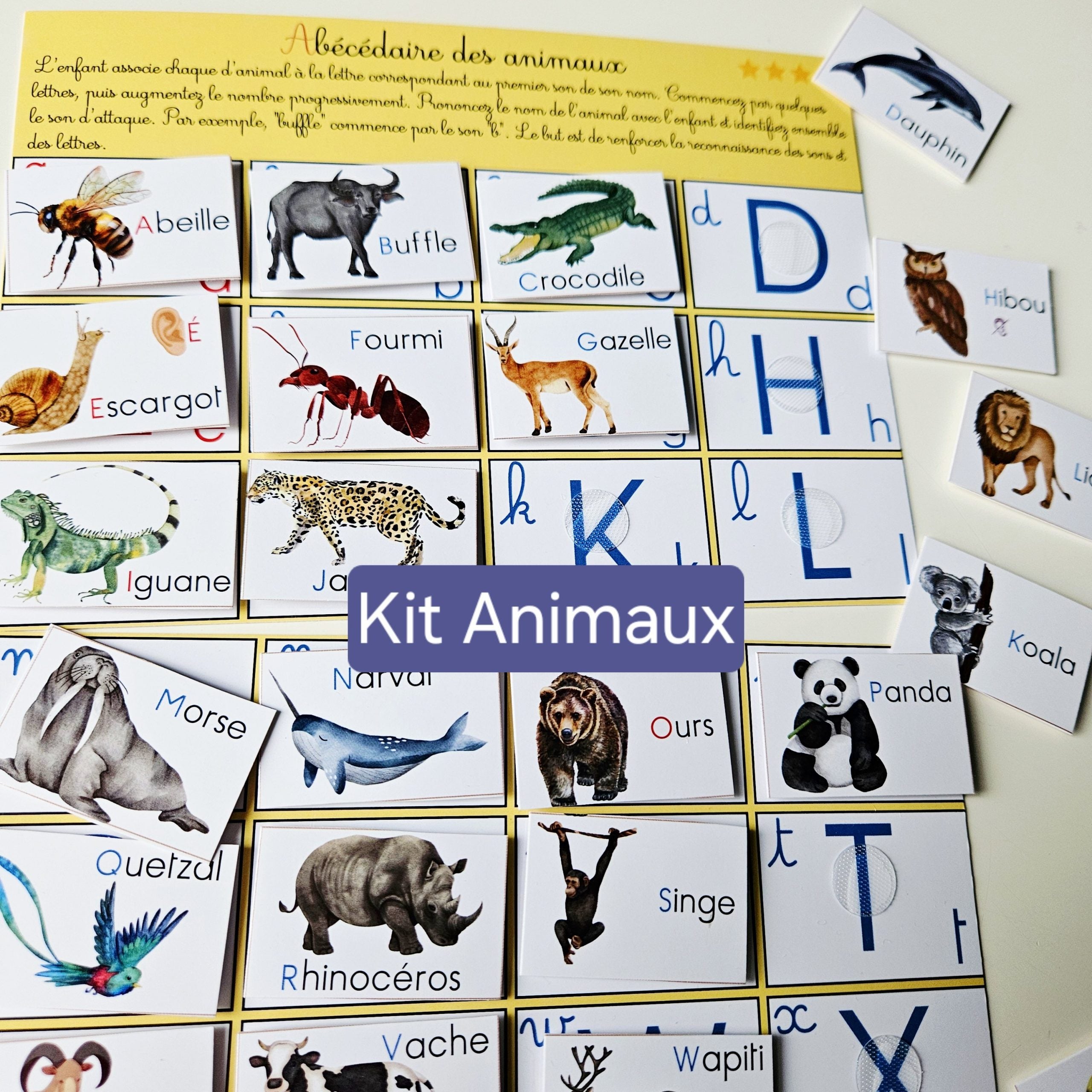 📥Lotos de l'alphabet PDF