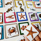 Lotos des Animaux
