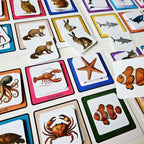 Lotos des Animaux