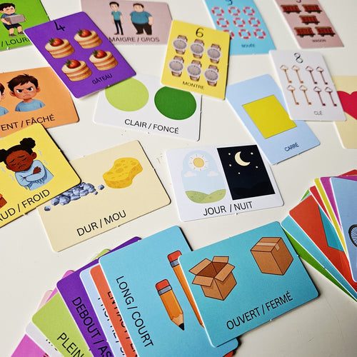 Cartes Logiques