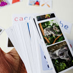 Mes Premières Cartes de Lecture
