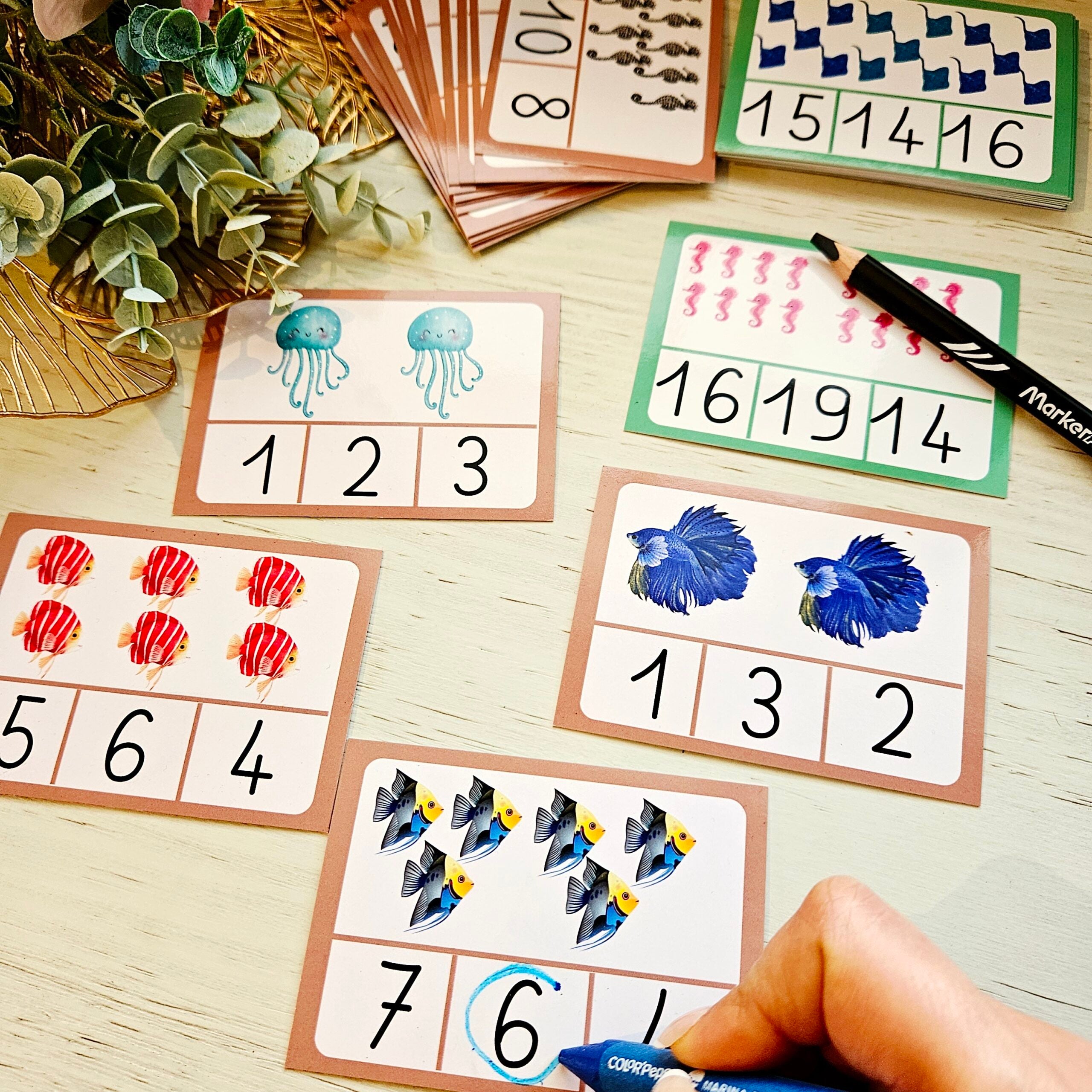 📥Cartes de Comptage (1 à 20) PDF
