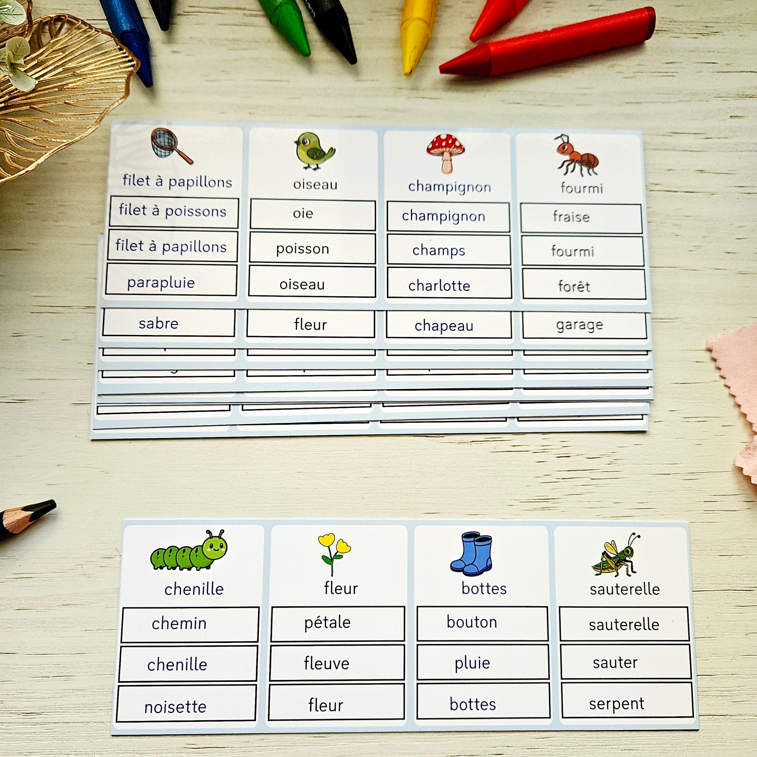 📥Cartes d'observation - préparation lecture PDF