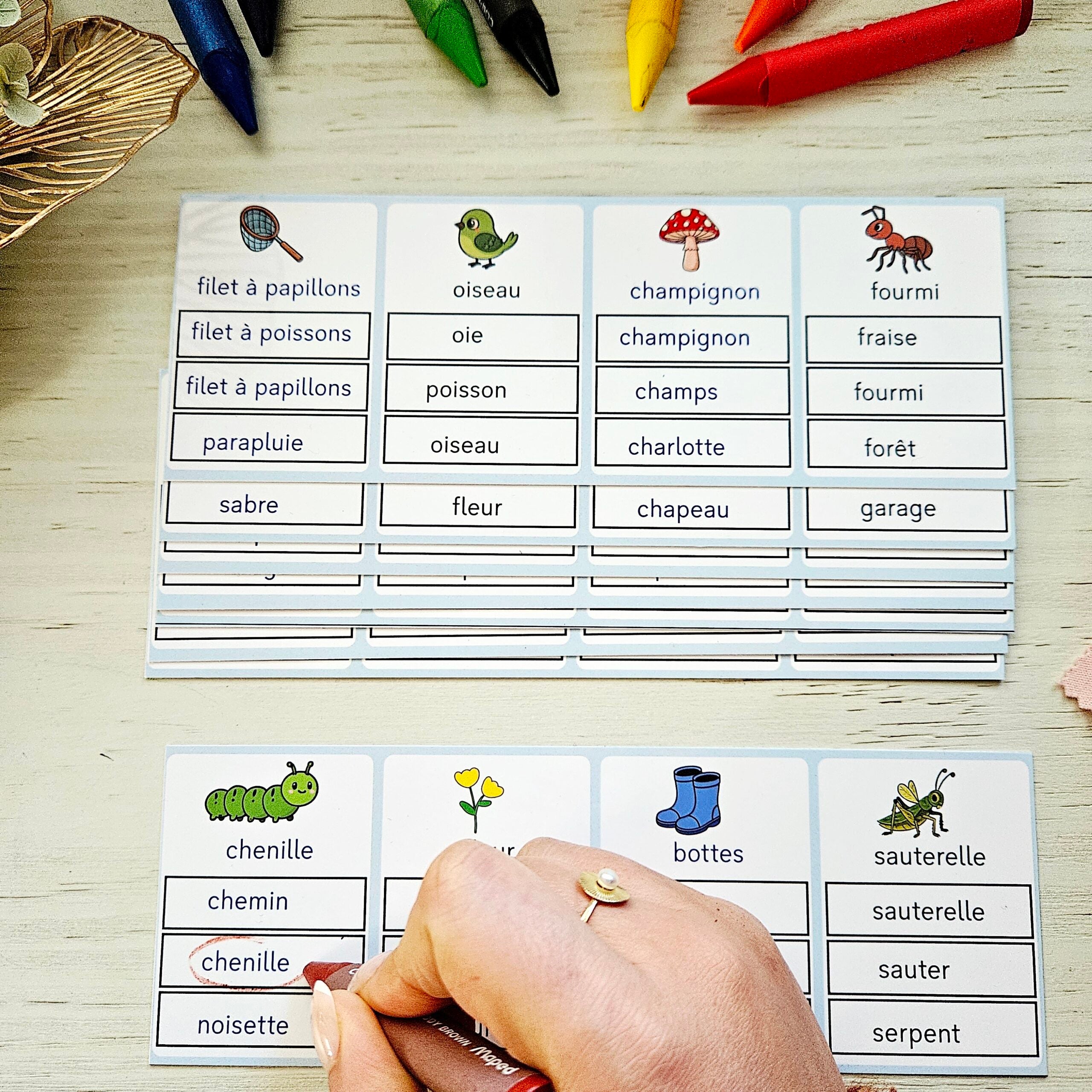📥Cartes d'observation - préparation lecture PDF