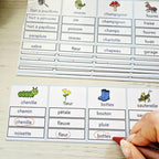 📥Cartes d'observation - préparation lecture PDF
