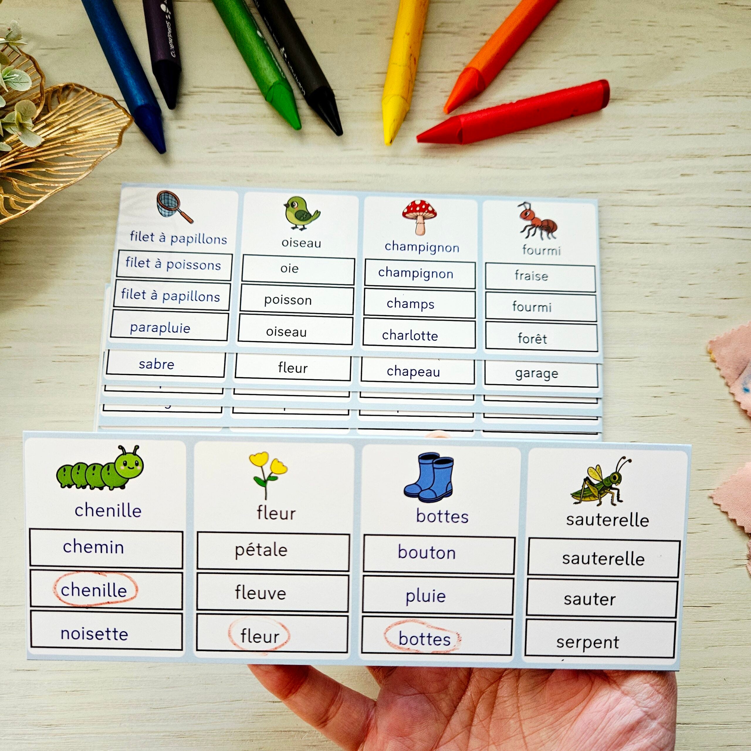 📥Cartes d'observation - préparation lecture PDF