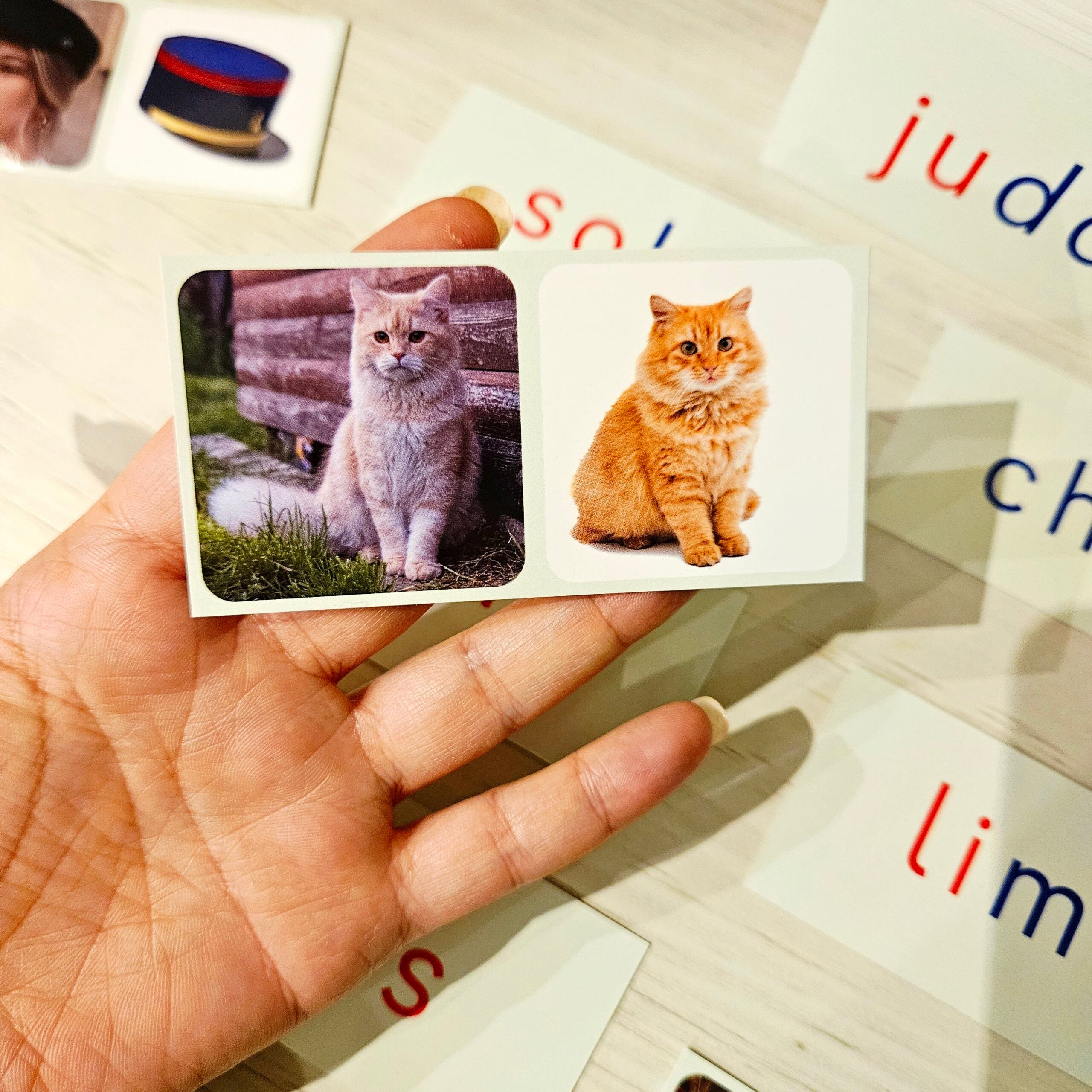 Mes Premières Cartes de Lecture