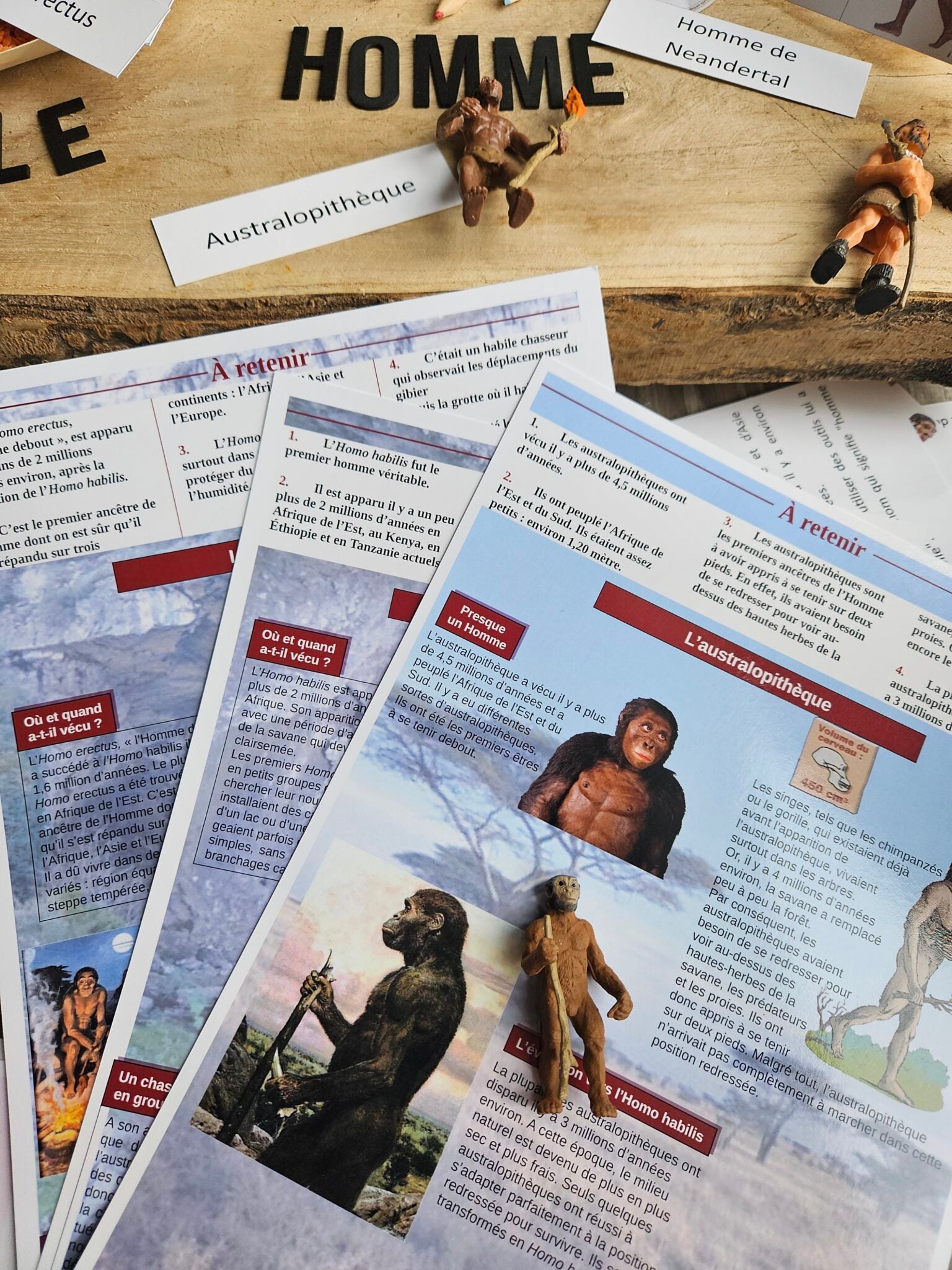 📥L'évolution de l'homme PDF