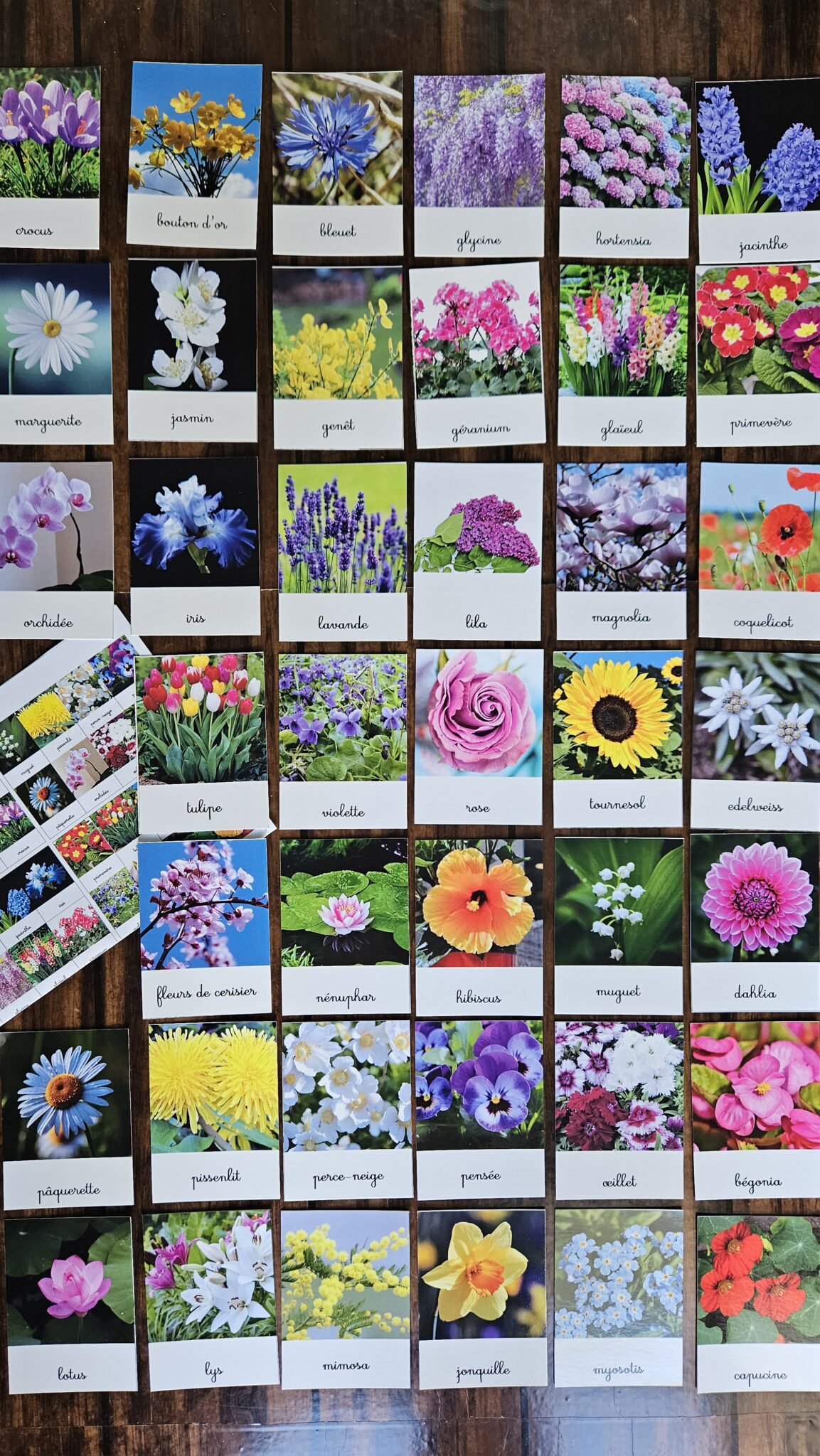 Les variétés de fleurs