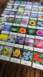Les variétés de fleurs