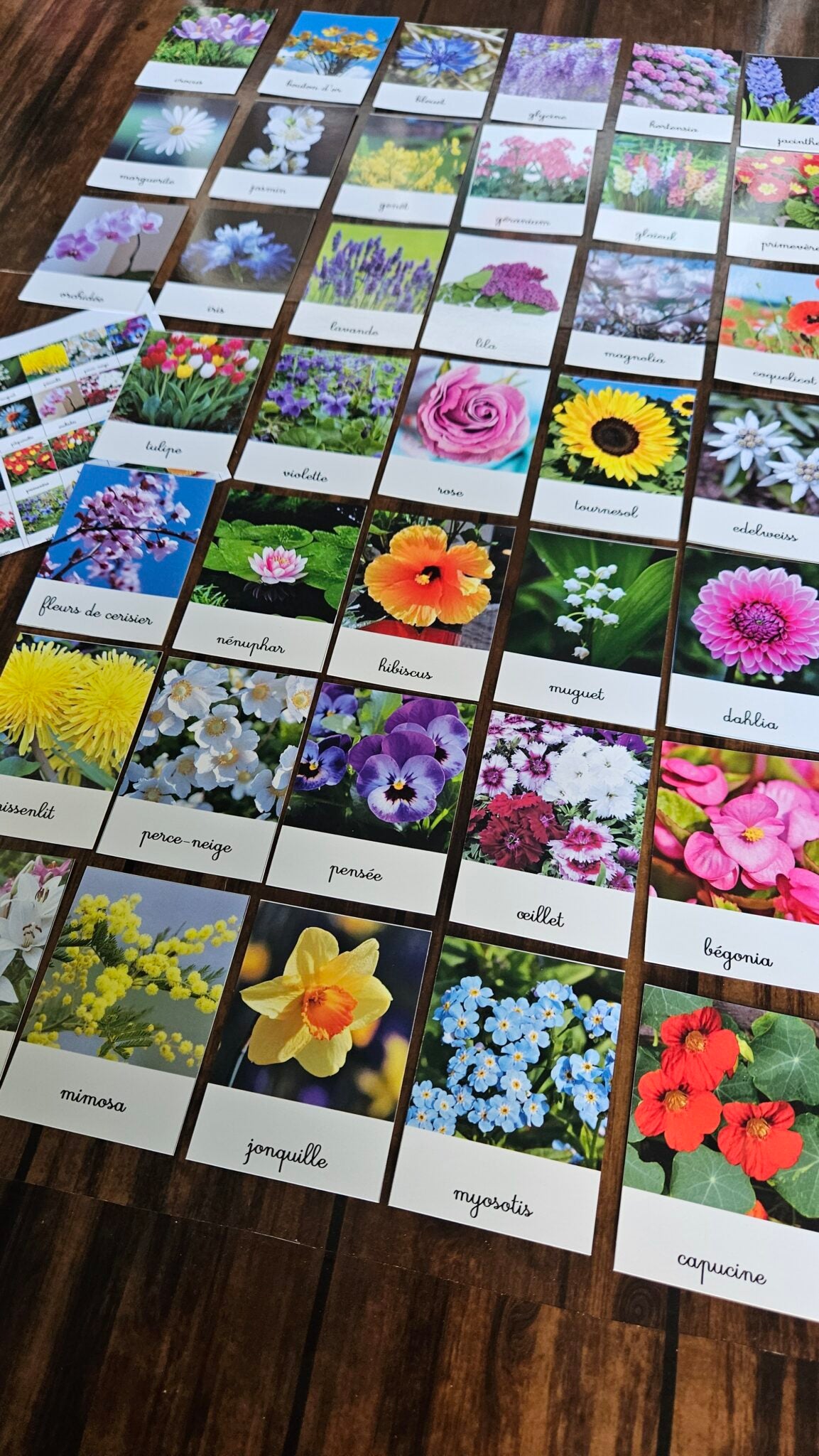 Les variétés de fleurs