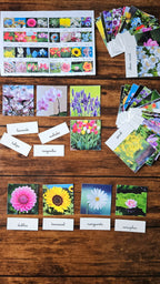 Les variétés de fleurs