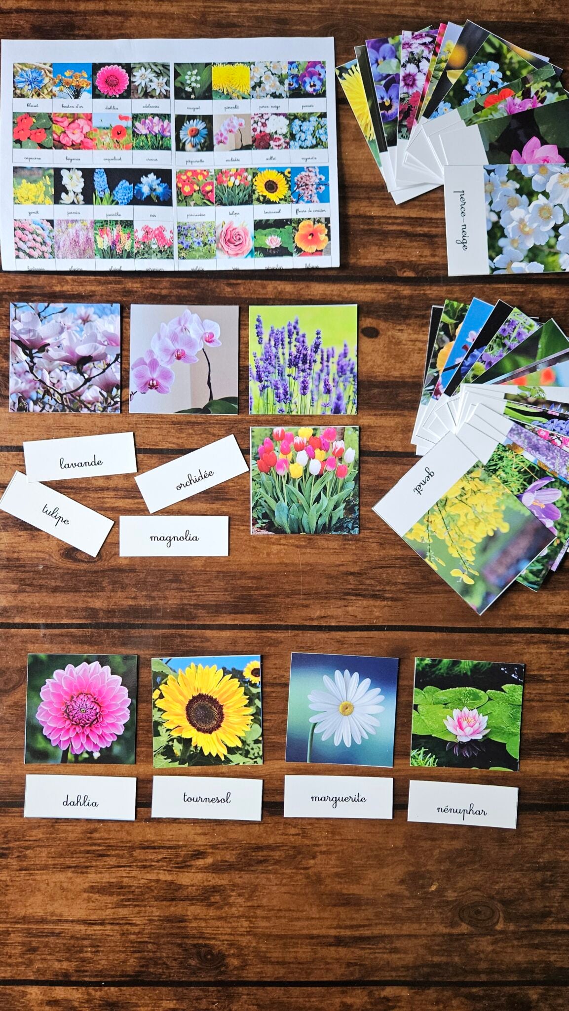 Les variétés de fleurs
