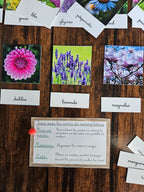 Les variétés de fleurs