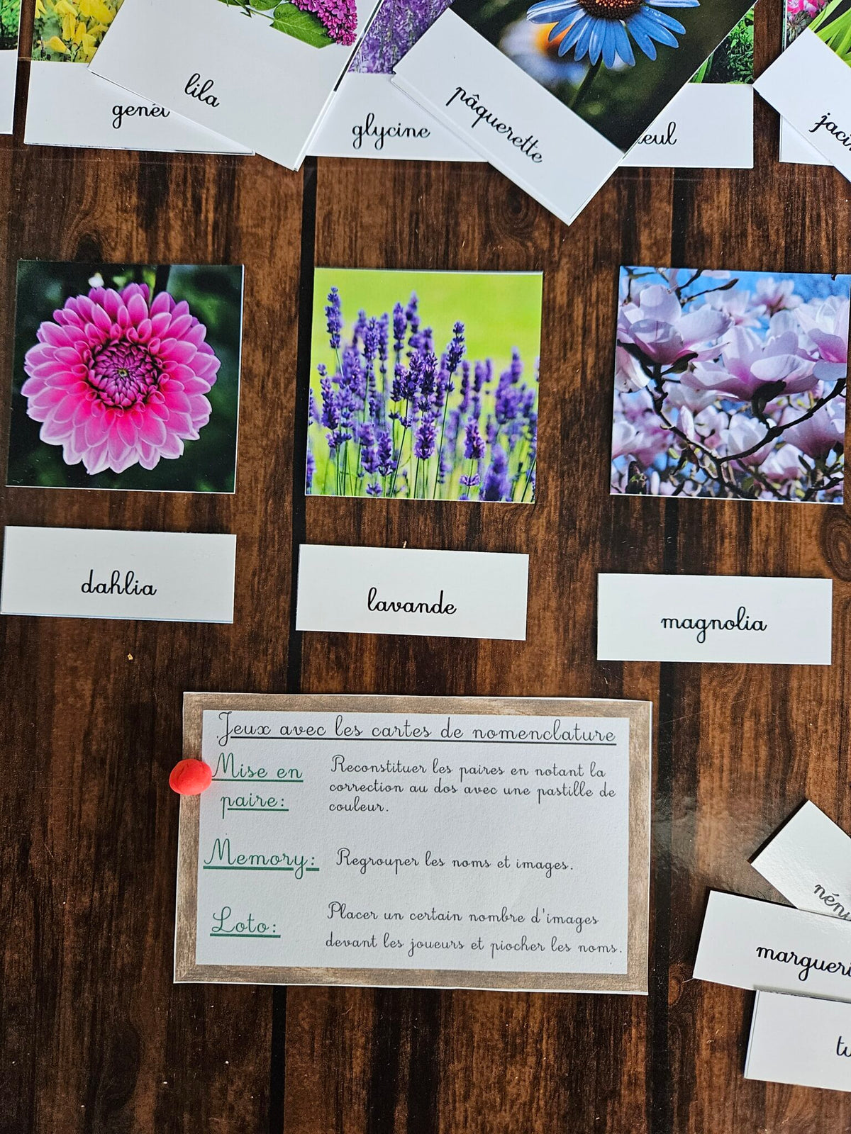 Les variétés de fleurs