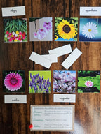 Les variétés de fleurs