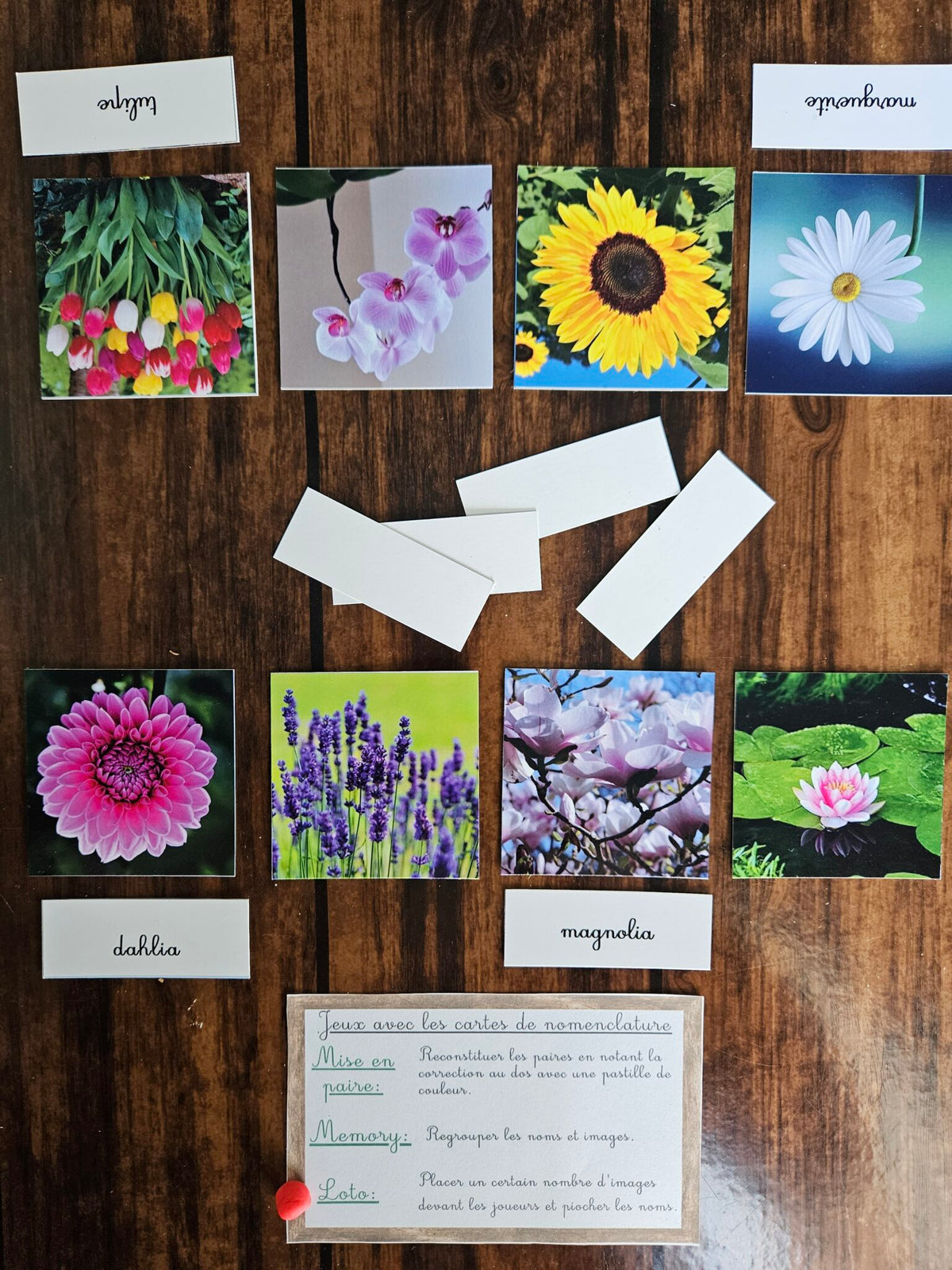 Les variétés de fleurs