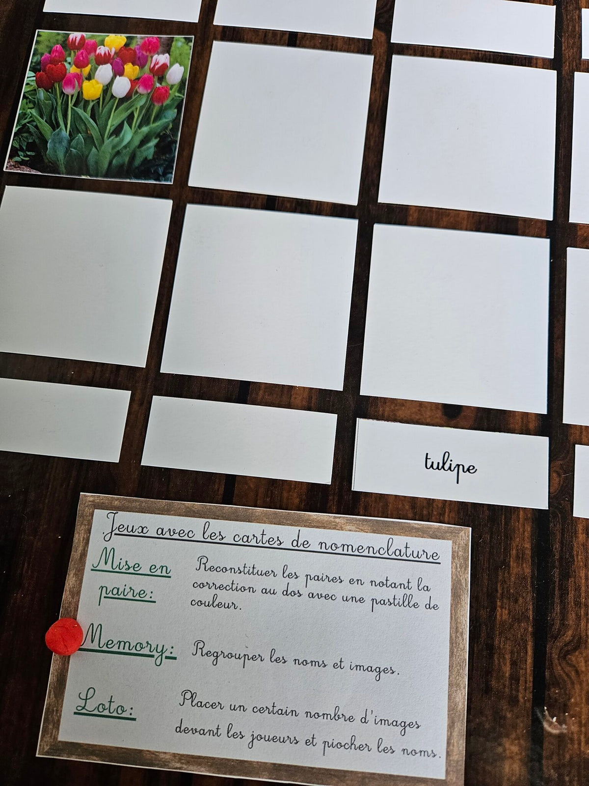 Les variétés de fleurs