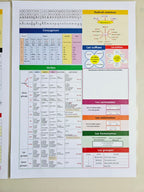 Sous-Main Géant CE2-CM1-CM2