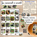 Histoire animaux: cherche & trouve