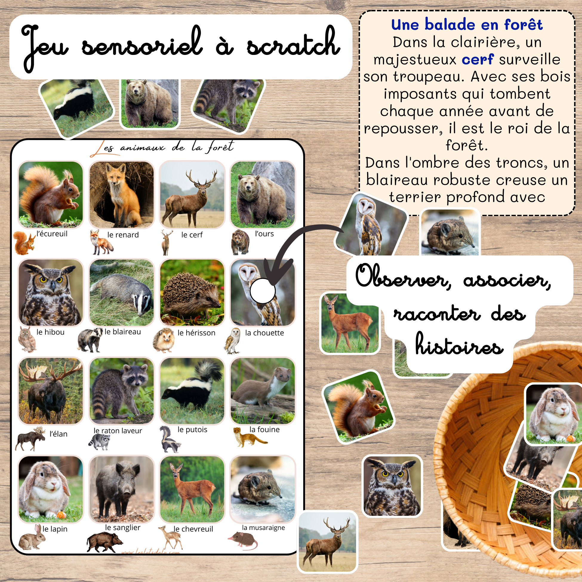 Histoire animaux: cherche & trouve