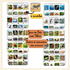 Histoire animaux: cherche & trouve