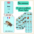 📥Cartes Vocabulaire en 🇫🇷 – 🇬🇧  PDF