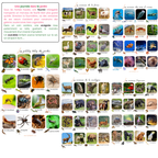 Histoire animaux: cherche & trouve