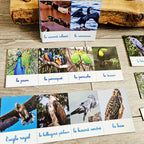 Jeux Culture Générale DESTOCKAGE