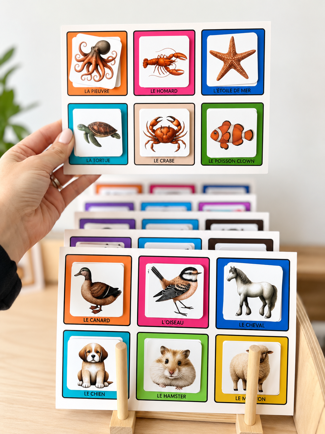 Lotos des Animaux